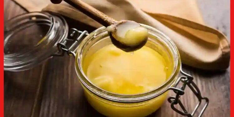 Ghee Making Business: একটি কাঁচামালেই হবে ব্যবসা! কম পুঁজিতে বাড়িতেই শুরু করুন ঘি তৈরি