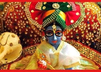 Gopal puja: বাড়িতে গোপালের পুজো তো করছেন, এই নিয়মগুলি মেনে চলছেন তো?