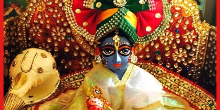 Gopal puja: বাড়িতে গোপালের পুজো তো করছেন, এই নিয়মগুলি মেনে চলছেন তো?