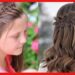 Hair Style: বিয়ের অনুষ্ঠানে চাই রকমারি হেয়ার স্টাইল ? যে কাজ গুলি ভুলেও করা যাবে না