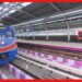 Joka-Taratala Metro: ৩০-এ উদ্বোধন জোকা-তারাতলা মেট্রোর, তবে যাত্রী পরিষেবা মিলবে নতুন বছরে
