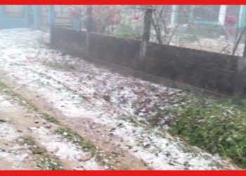 Assam: শিলা বৃষ্টিতে সাদা চাদরের মুড়ে গিয়েছে আসাম, ব্যাপক ক্ষয়ক্ষতি সাধারণ মানুষের