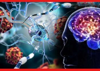 Coronavirus Affects: করোনা কি আদৌ মস্তিষ্কে প্রভাব ফেলে? কী বলছেন বিশেষজ্ঞরা?