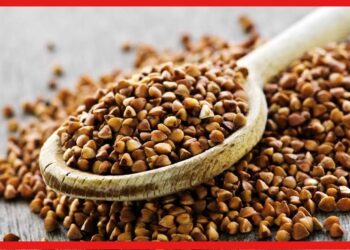 Buckwheat: ভাতের চাইতে বেশি পুষ্টিকর বাকহুইট! কীভাবে চাষ করা হয় এই ফসল?