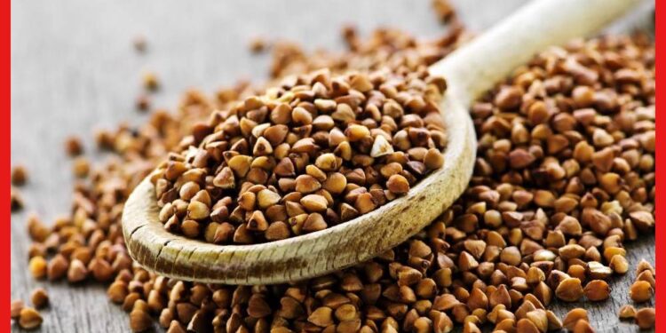 Buckwheat: ভাতের চাইতে বেশি পুষ্টিকর বাকহুইট! কীভাবে চাষ করা হয় এই ফসল?