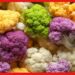 Multi Coloured Cauliflower: বাজার আলো করছে রংবেরংয়ের ফুলকপি! এগুলি খাওয়া কতটা স্বাস্থ্যকর?