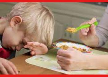 Child’s Appetite: খাবারে বড় অনীহা সন্তানের, কিছুতেই খেতে চায় না ? মা হিসেবে কী করণীয়