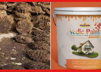 Cow Dung Paint: গোবর দিয়ে প্রাকৃতিক রং তৈরি! কতটা লাভজনক এই ব্যবসা?
