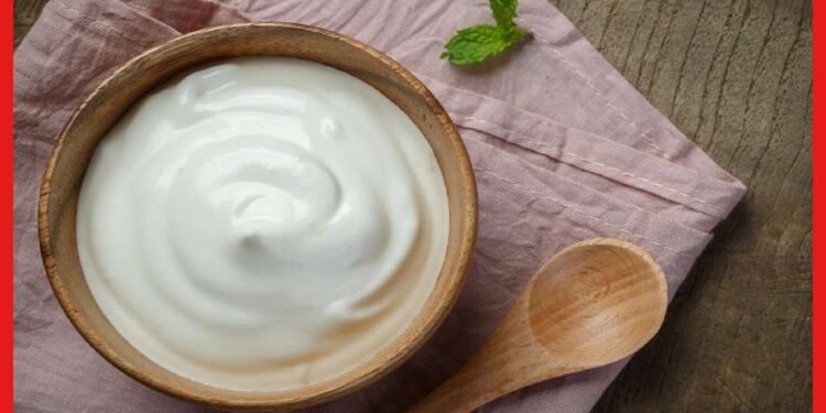 Curd Side Effects: অজান্তেই আপনার শরীরের ক্ষতি করছে দই, কাদের জন্য এটি বিষের সমান ?