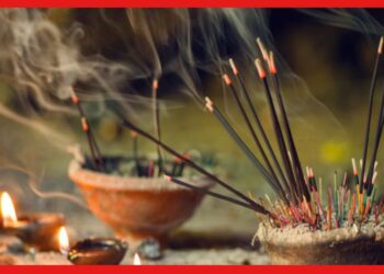 Vastu Shastra: নিত্য পুজোয় ধূপকাঠি জ্বালাচ্ছেন ? সপ্তাহের কোন দুই দিন এড়িয়ে চলবেন এই কাজ