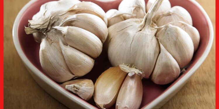 Garlic health benefits: খাওয়ার পাশাপাশি বালিশের তলায় রাখুন রসুন, ফল পাবেন ম্যাজিকের মতো