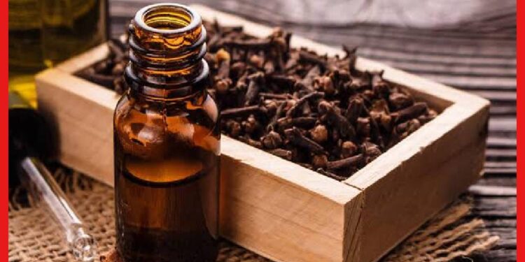 Clove Oil Benefits : নামিদামি প্রসাধনী নয়, ত্বক ও চুলের যত্নে ম্যাজিক ছড়াবে লবঙ্গ তেল
