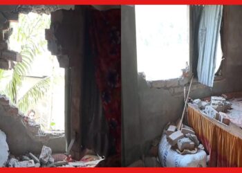 Dhupguri: দাঁতাল হাতির হানায় বিপর্যস্ত জনজীবন, রাতের ঘুম উড়েছে মাগুরমারির বাসিন্দাদের