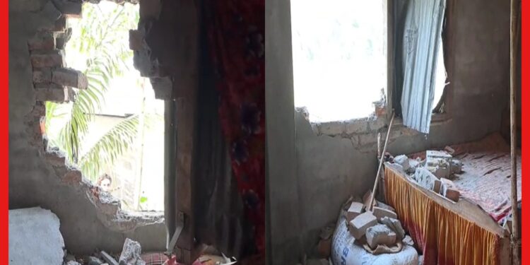 Dhupguri: দাঁতাল হাতির হানায় বিপর্যস্ত জনজীবন, রাতের ঘুম উড়েছে মাগুরমারির বাসিন্দাদের