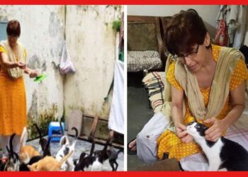 Bangladesh: কুকুর বিড়ালদের জন্য রোজ রান্না করেন ১৫ কেজির খাবার, অসহায় প্রাণীদের মা সাবিনা