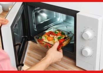 Microwave use: ঠান্ডা খাবার গরম করছেন মাইক্রোওয়েভে? ভালো থাকতে এগুলো এড়িয়ে চলুন