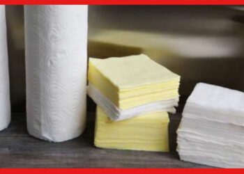 Paper Napkin: নতুন বছরে বড় কোন ব্যবসায় ইনভেস্ট করবেন ? চিন্তাভাবনা করতে পারেন টিস্যু পেপার নিয়ে
