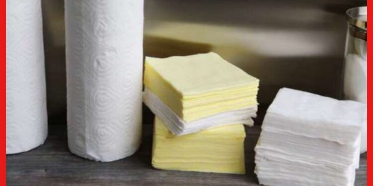 Paper Napkin: নতুন বছরে বড় কোন ব্যবসায় ইনভেস্ট করবেন ? চিন্তাভাবনা করতে পারেন টিস্যু পেপার নিয়ে