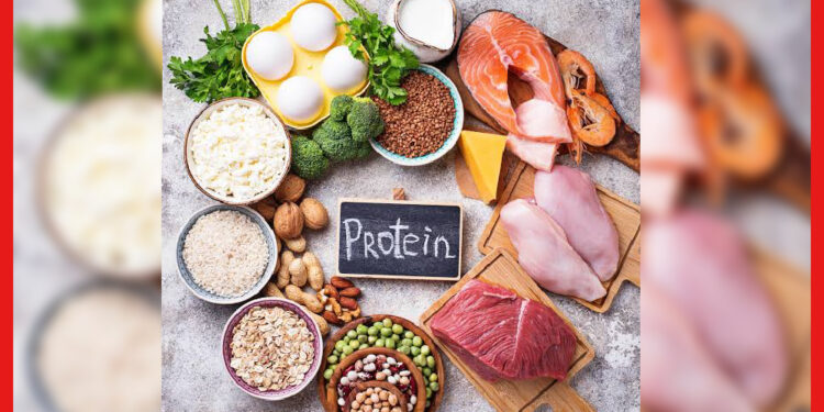 Protein: সুস্থ থাকতে কতটা প্রোটিন খাচ্ছেন? পরিমাণে গন্ডগোল হলেই বিপদে পড়বেন