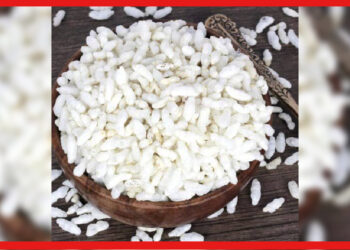 Puffed Rice: রোজ মুড়ি খাচ্ছেন? শরীরের জন্য কতটা ভালো? অবশ্যই সাবধানে থাকুন