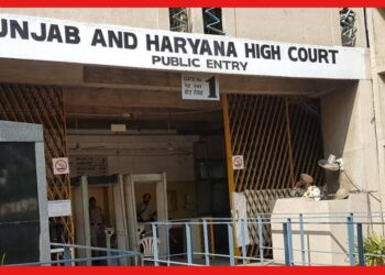 Punjab and Haryana High Court: রাগী স্ত্রীর সঙ্গে থাকা অত্যাচারের সমান! হাইকোর্টের রায় গেল স্বামীর দিকে