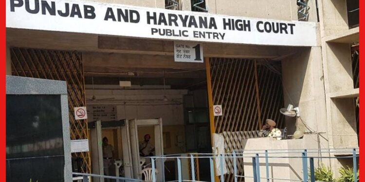 Punjab and Haryana High Court: রাগী স্ত্রীর সঙ্গে থাকা অত্যাচারের সমান! হাইকোর্টের রায় গেল স্বামীর দিকে