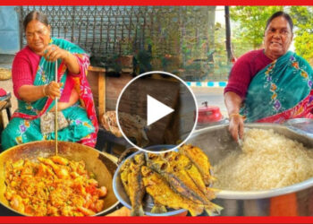 Viral Video: খাবারের সঙ্গে গালাগালি ফ্রি! নন্দিনীদির পর ভাইরাল রাগী মাসি