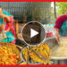 Viral Video: খাবারের সঙ্গে গালাগালি ফ্রি! নন্দিনীদির পর ভাইরাল রাগী মাসি