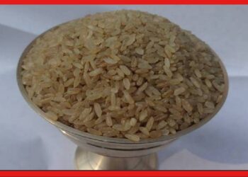 Boka Rice: ভাত রান্না করতে প্রয়োজন ঠান্ডা জলের ! এমন জাদুকরী ধান কোথায় জন্মায় জানেন ?