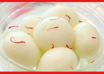 Rosogolla Recipe: বাড়িতেই বানান তুলতুলে অসাধারণ রসগোল্লা, এই রেসিপিতেই রয়েছে জাদু