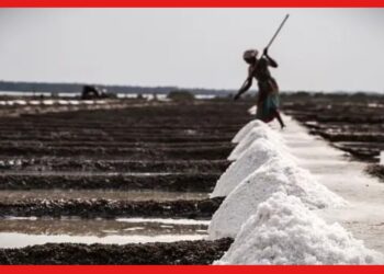 Salt Business : মাত্র ১০ হাজার বিনিয়োগে মাসিক ৬০ হাজার রোজগার ! জানুন লবণ ব্যবসা সম্পর্কে