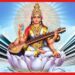 Saraswati Puja 2023: ব্রহ্মার মুখগহ্বর থেকে আবির্ভূতা, নির্মলতার প্রতীক শ্বেতশুভ্র বাগদেবী