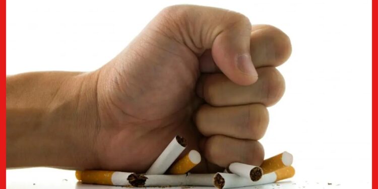 Quit Smoking: ধূমপানের নেশা ছাড়ান ওষুধ ছাড়াই, সামান্য উপায়ে পাবেন নতুন জীবন