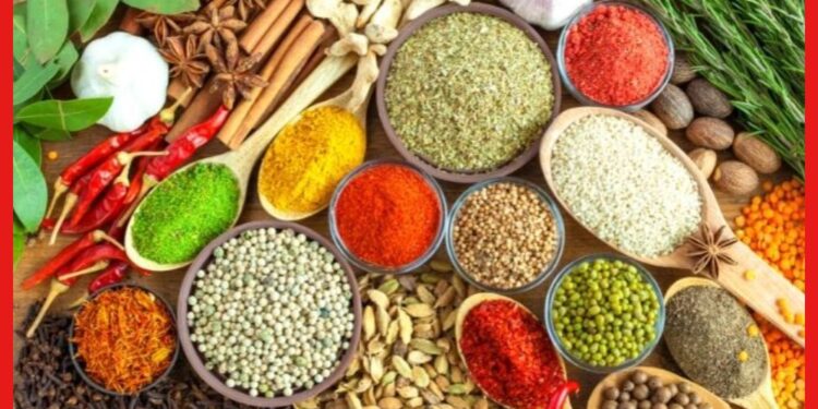 Spice business : অল্প পুঁজিতেই হবে গুঁড়ো মশলার ব্যবসা, এই আইডিয়ায় হতে পারেন লাখপতি