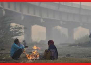 Weather update: নেতাজির জন্ম জয়ন্তীতে উধাও শীত, ক্রমশ বাড়ছে তাপমাত্রা