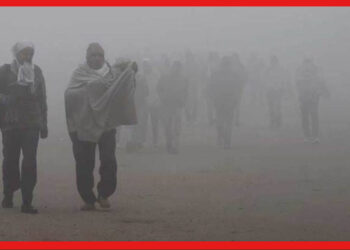 Weather Update: গরম পোশাক তুলে রাখবেন ভাবছেন? শীতের শেষ কামড় কিন্তু এখনও বাকি