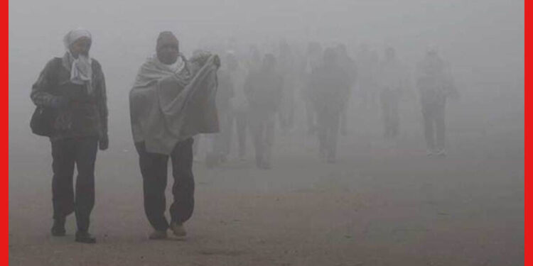 Weather Update: গরম পোশাক তুলে রাখবেন ভাবছেন? শীতের শেষ কামড় কিন্তু এখনও বাকি