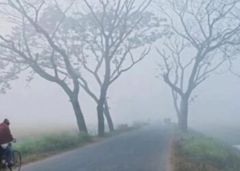 Weather update: বাড়ছে কুয়াশার দাপট! বেশ কয়েকটি জেলায় শৈত‍্য প্রবাহের সর্তকতা