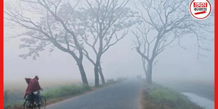 Weather update: বাড়ছে কুয়াশার দাপট! বেশ কয়েকটি জেলায় শৈত্য প্রবাহের সর্তকতা