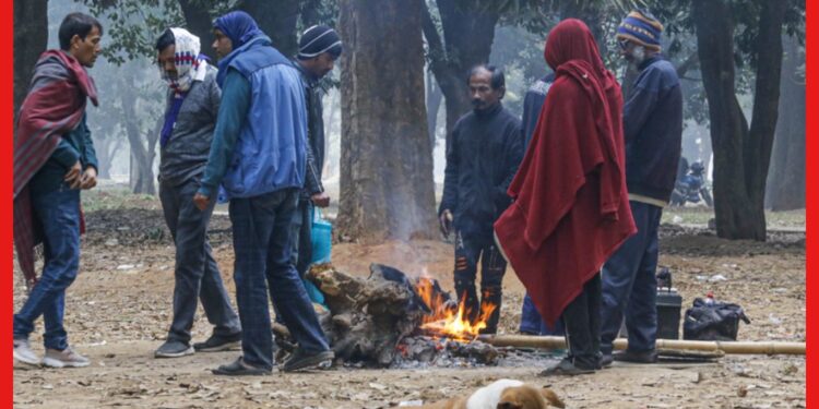 Weather update: সংক্রান্তিতে হার কাঁপানো ঠান্ডার সম্ভাবনা ক্ষীন, শীতের ঝড়ো ইনিংসের ইতি
