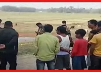 Cooch Behar Blast : বিকট শব্দে বিস্ফোরণ, বল ভাবে খেলতে গিয়ে বোমা ফেটে গুরুতর জখম শিশু