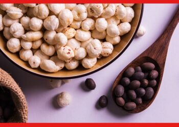 Side Effects Of Makhana : গুণে ভরপুর মাখানা, তবে কাদের জন্য বিপদ ডেকে আনতে পারে এই পদ্মবীজ ?