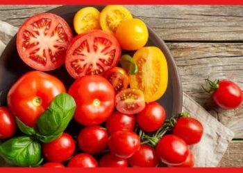 Tomatoes: সস থেকে স্যালাড সবেতেই অতিরিক্ত টমেটো দিচ্ছেন ? নিজের অজান্তেই ডেকে আনছেন বিপদ