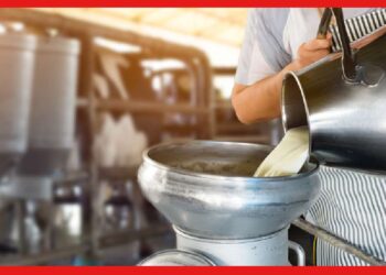 Business Idea: অল্প খরচে আয় হতে পারে লাখ টাকা! সরকারি সাহায্যও মিলবে এই ব্যবসায়