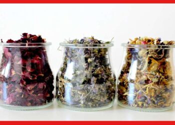 Dried Flowers : শুকনো ফুলই হবে মূল উপকরণ, ব্যবসার জন্য তৈরি করতে পারেন সুগন্ধি ধূপকাঠি