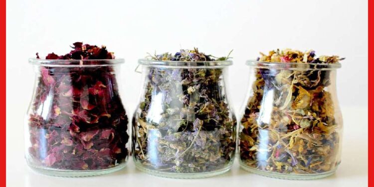 Dried Flowers : শুকনো ফুলই হবে মূল উপকরণ, ব্যবসার জন্য তৈরি করতে পারেন সুগন্ধি ধূপকাঠি