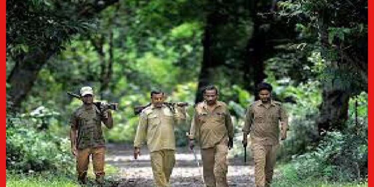 WCCB Recruitment: নতুন বছরে নয়া চাকরির সুযোগ, বন্যপ্রাণী অপরাধ নিয়ন্ত্রণ দফতরে কর্মী নিয়োগ