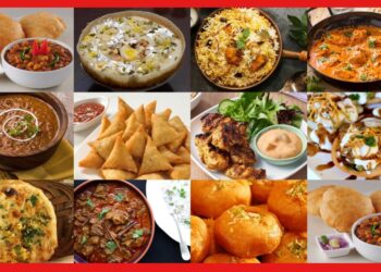 Street Food: ফাস্ট ফুডে বিষ, কুকুরের মাংস মোমোতে! দেখে খাচ্ছেন তো?