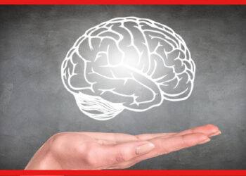 Healthy Habits For Brain: সূর্যের সঙ্গে পাল্লা দিয়ে উঠুন ঘুম থেকে, চাঙ্গা থাকবে মস্তিষ্কের স্বাস্থ্য