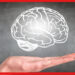 Healthy Habits For Brain: সূর্যের সঙ্গে পাল্লা দিয়ে উঠুন ঘুম থেকে, চাঙ্গা থাকবে মস্তিষ্কের স্বাস্থ্য